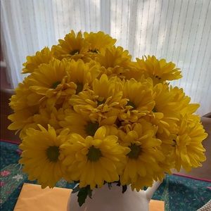 Meet your Posher, Pranav